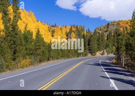 Landstraße führt durch Espe Bäume im Herbst in Northern Colorado, USA Stockfoto
