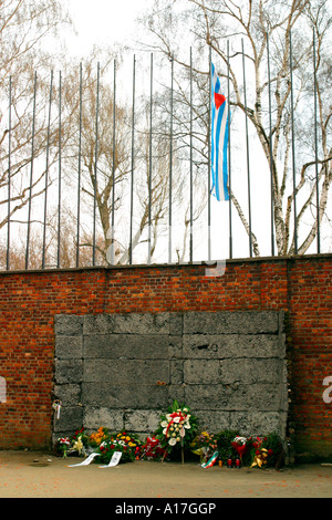 Das Erschießungskommando Wand im KZ Auschwitz, Oswiecim, Polen. Stockfoto