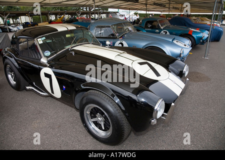 1964 AC Cobra im Fahrerlager am Goodwood Revival, Sussex, England. Stockfoto