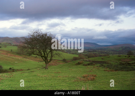 Horizontale Landschaftsfoto Howgill Fells in der Nähe der Stadt Sedbergh in Cumbria Stockfoto