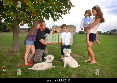 EIN VATER SAMMELN CONKERS MIT SEINEN KINDERN AUF EIN COUNTRY ESTATE UK Stockfoto