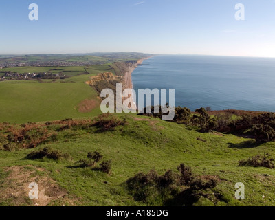 Blick nach Osten in Richtung West Bay/Bridport (Dorset) aus Stockfoto