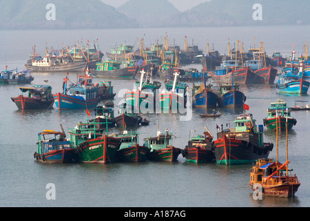 Hausboote und Angelboote/Fischerboote im Hafen vom CatBa Stadt Halong Bucht Vietnam Stockfoto