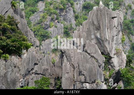 2007 Kalkstein Insel Felsen Halong Bucht Vietnam Stockfoto