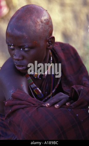 Ein Maasai Moran hat seinen Kopf rasiert von seiner Mutter am Tag seiner Einleitung in Manood Kajiado Kenia Stockfoto