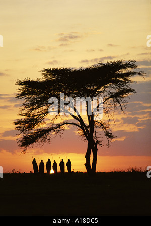 Gruppe von Maasai Männern bei Sonnenaufgang Kenia Stockfoto