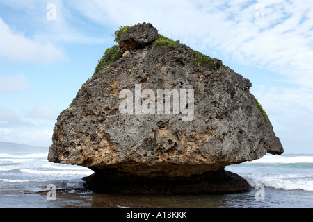 Rock-Formation Bathsheba Cattlewash Strand Barbados Karibik Antillen Stockfoto