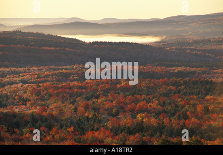 Peru-VT fallen in der Green Mountain National Forest in der Nähe von Skigebiet Bromley Stockfoto