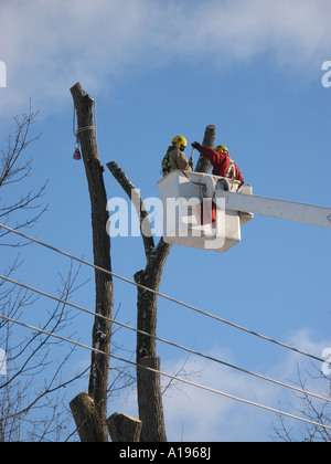 Abbildung des Linemen arbeiten an elektrischen Leitungen aus einer Hubarbeitsbühne Stockfoto