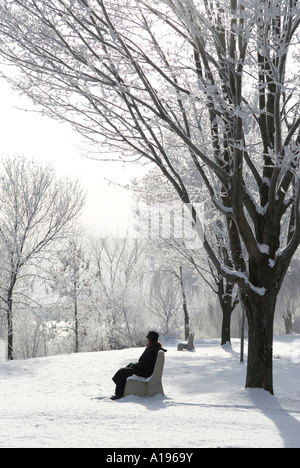 Stock Bild einer Frau auf einer Parkbank sitzen nach dem Sturm in Fredericton, New Brunswick Kanada mit Schnee bedeckt. Stockfoto