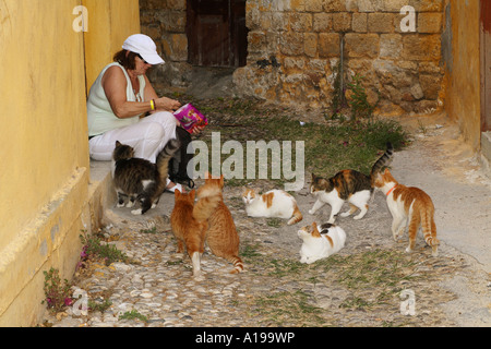 Tourist Frau Fütterung Hauskatzen in einer Gasse. Griechenland Stockfoto