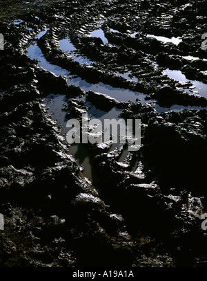 Bauern schlammigen Feld mit Traktor Reifenspuren Sussex Stockfoto