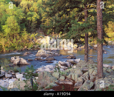 Katzenpfote von Tiemann Shut-ins auf der St. Francis River Millstream Gardens Staatswald in Missouri Stockfoto