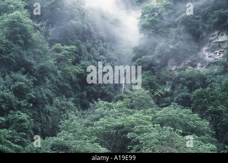 Landschaft mit einem kleinen Wasserfall in den Bergen Wolong Valley Provinz Sichuan China Stockfoto