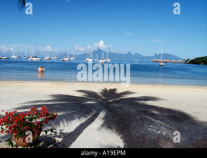 Französisch-Polynesien Papeete Tahiti Küste malerisch mit paar und verankerte Segelboote Stockfoto
