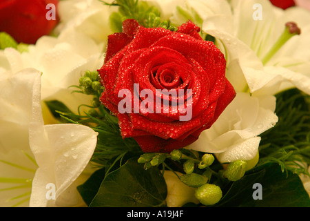 Bouquet Rose mit Lilly umgibt Ideal für Hochzeiten Beerdigung Stockfoto
