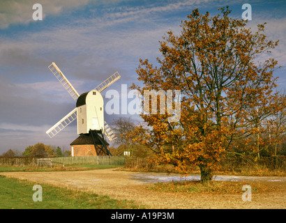 Essex Mountnessing Bockwindmühle neben Dorfanger im Herbst Stockfoto