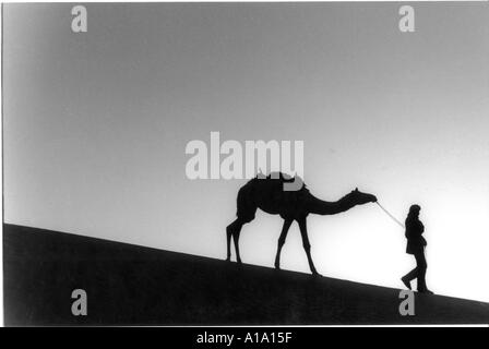 Mensch und Kamel auf der Thar-Wüste in Indien Stockfoto