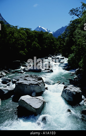 Blick über Bergbach Neuseeland Stockfoto