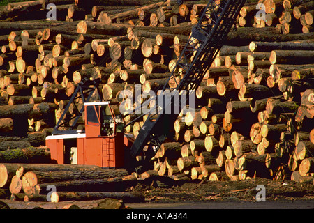 Kran bewegten Protokollen an Protokollierung Mühle in Nordkalifornien Stockfoto