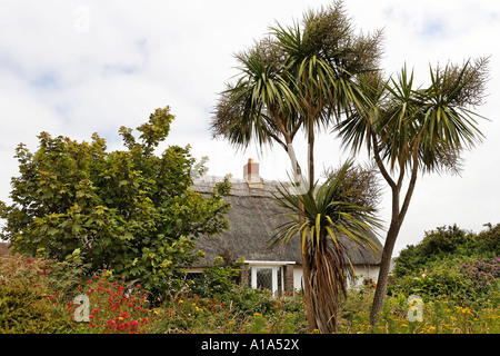 Haus mit Reetdach, Kilmore Quay, Wexford, Irland Stockfoto