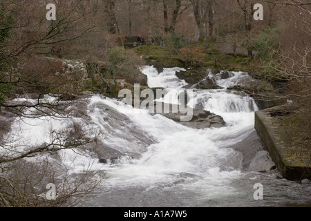 River Ogwen Ogwen Bank in der Nähe von Bethesda in den Snowdonia National Park Gwynedd North Wales UK Vereinigtes Königreich British Isles Grea Stockfoto