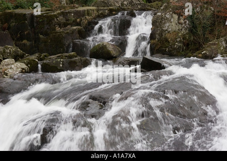 River Ogwen Ogwen Bank in der Nähe von Bethesda in den Snowdonia National Park Gwynedd North Wales UK Vereinigtes Königreich British Isles Grea Stockfoto