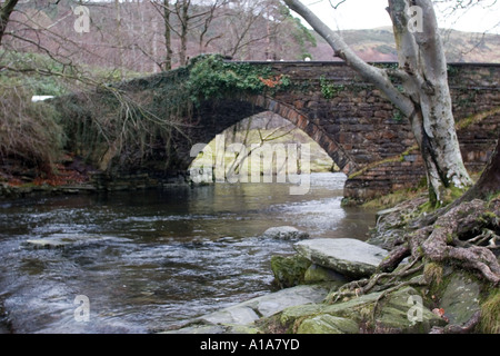 Brücke über den Fluss Ogwen in Ogwen Bank in der Nähe von Bethesda in den Snowdonia National Park Gwynedd North Wales UK Großbritannien Br Stockfoto