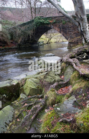 Brücke über den Fluss Ogwen in Ogwen Bank in der Nähe von Bethesda in den Snowdonia National Park Gwynedd North Wales UK Großbritannien Br Stockfoto