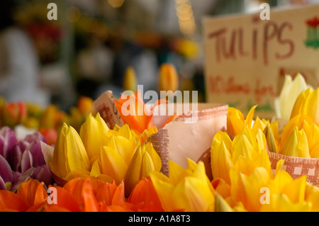 Blumen am Pikes Ort Markt Seattle WA Stockfoto