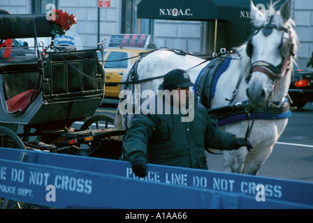 Pferd und Kutsche im Central Park New York City, USA Stockfoto