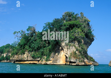 Dominikanische Republik Samana Halbinsel Nationalpark Los Haitises Vogel rookery Stockfoto