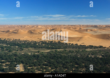 Fliegen Sie über die Dünen. Namib-Wüste, Fluss Kuiseb, Namibia, Afrika Stockfoto