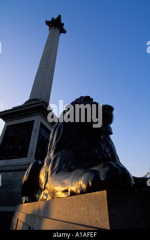 Nelsons Säule Trafalgar Square-London-UK Stockfoto