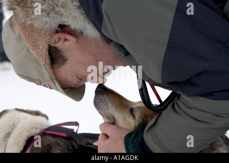 USA Alaska Race Tierarzt reibt Nasen mit ruhenden Schlittenhunde am Rainy Pass Checkpoint 2005 Hundeschlittenrennen Iditarod Stockfoto