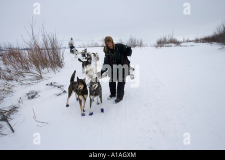 USA Alaska Unalakleet Fotografen Jeff Schultz führt verwirrt Hundegespann Weg in Bergen nähert sich Bering-Meer-Küste Stockfoto