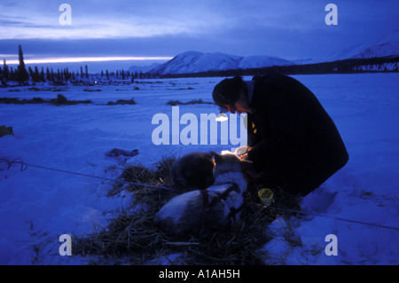 USA Alaska Musher tendenziell Gespann vor der Morgendämmerung am Rainy Pass Checkpoint während 1993 Iditarod Stockfoto