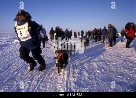 USA Alaska 1994 Iditarod Champion Martin Buser führt sein Gespann aus Sicherheit Prüfpunkt bei Sonnenuntergang Stockfoto