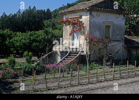 Kleines Haus mit roten Kletterrosen Provence Stockfoto