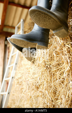 Menschen in Gummistiefeln sitzt auf einer hale Bucht Stockfoto