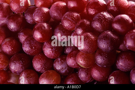 rote Trauben Stockfoto