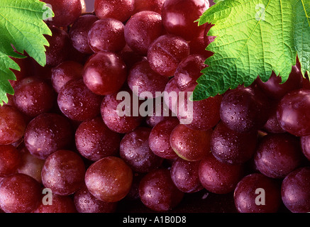 rote Trauben mit Blätter Stockfoto