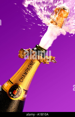 CHAMPAGNER-FLASCHE MIT KORKEN Stockfoto