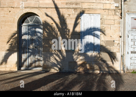 der weitläufige Schatten einer Palme fällt über einen gepflasterten Straßen und alten mediterranen Gebäude Stockfoto