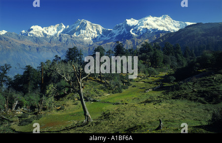 Ein Blick auf die Manaslu Himal reichen von den südlichen Ausläufern, Zentral-Nepal Stockfoto