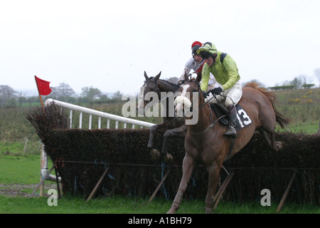 zwei Jockeys und Pferde springen über einen Zaun am Maralin Punkt zu Punkt in der Nähe von Moira County Down Northern Ireland Stockfoto