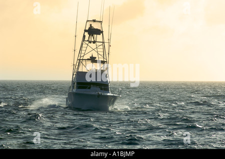 Sport-Fischerboot auf dem Great Barrier Reef Australien Stockfoto