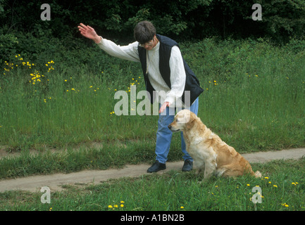 Hundetraining Stockfoto