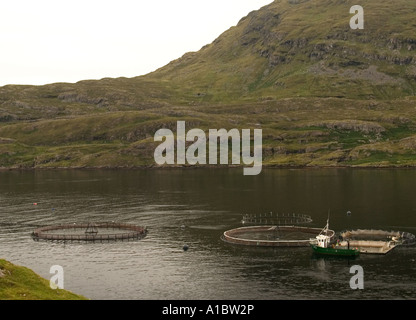 Celtic Atlantic Salmon Ltd Lachs Farm befindet sich in der einzig wahren Fjord Irlands Killary Harbour Landschaft Stockfoto