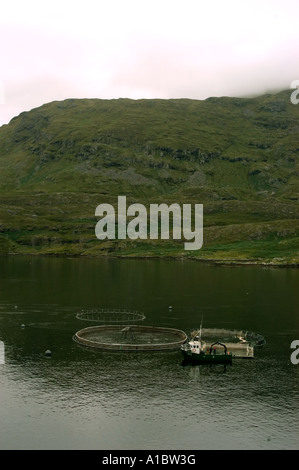 Celtic Atlantic Salmon Ltd Lachs Farm befindet sich in der einzig wahren Fjord Irlands Killary Harbour Landschaft Stockfoto